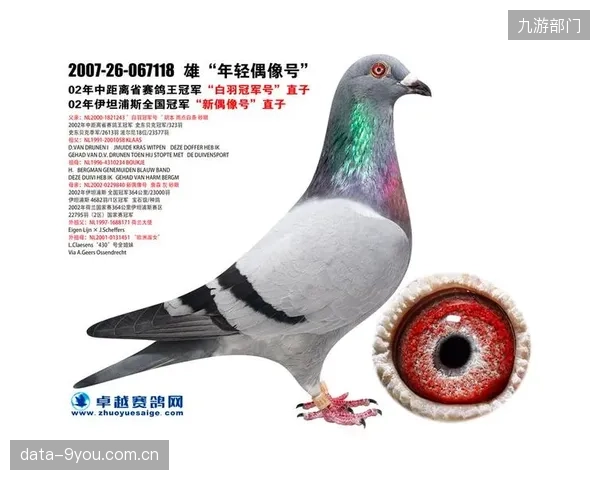 荷兰队或在墨西哥高原赛区加强定位球战术演练，利用范戴克的高度和空中优势破局。
